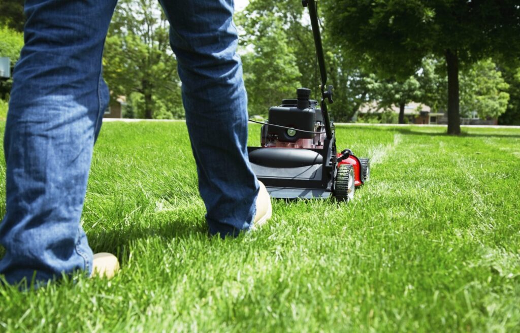 Landscaping in Fargo