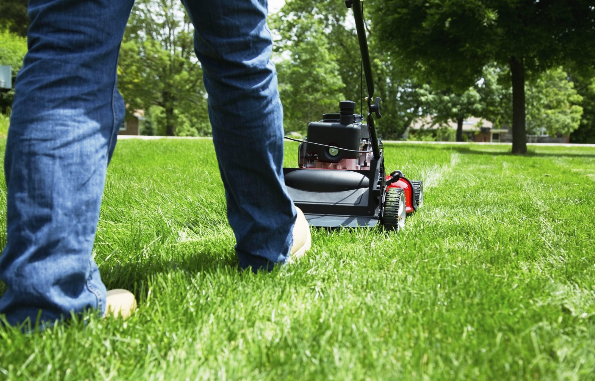 Landscaping in Fargo